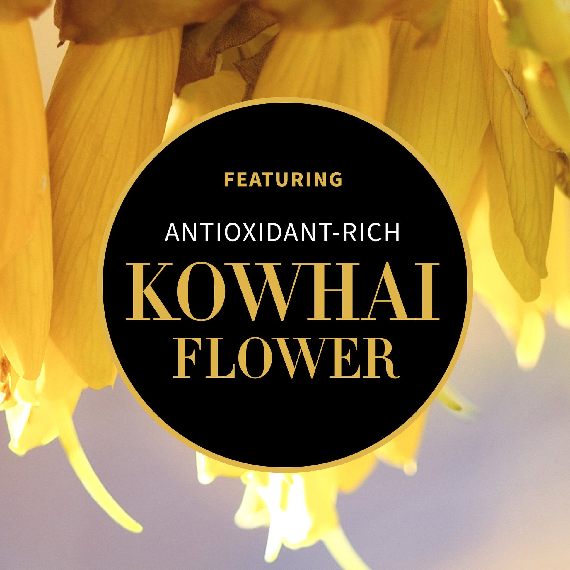 Deliverance Kowhai Flower Hand Cream 75ml - Antipodes New Zealand