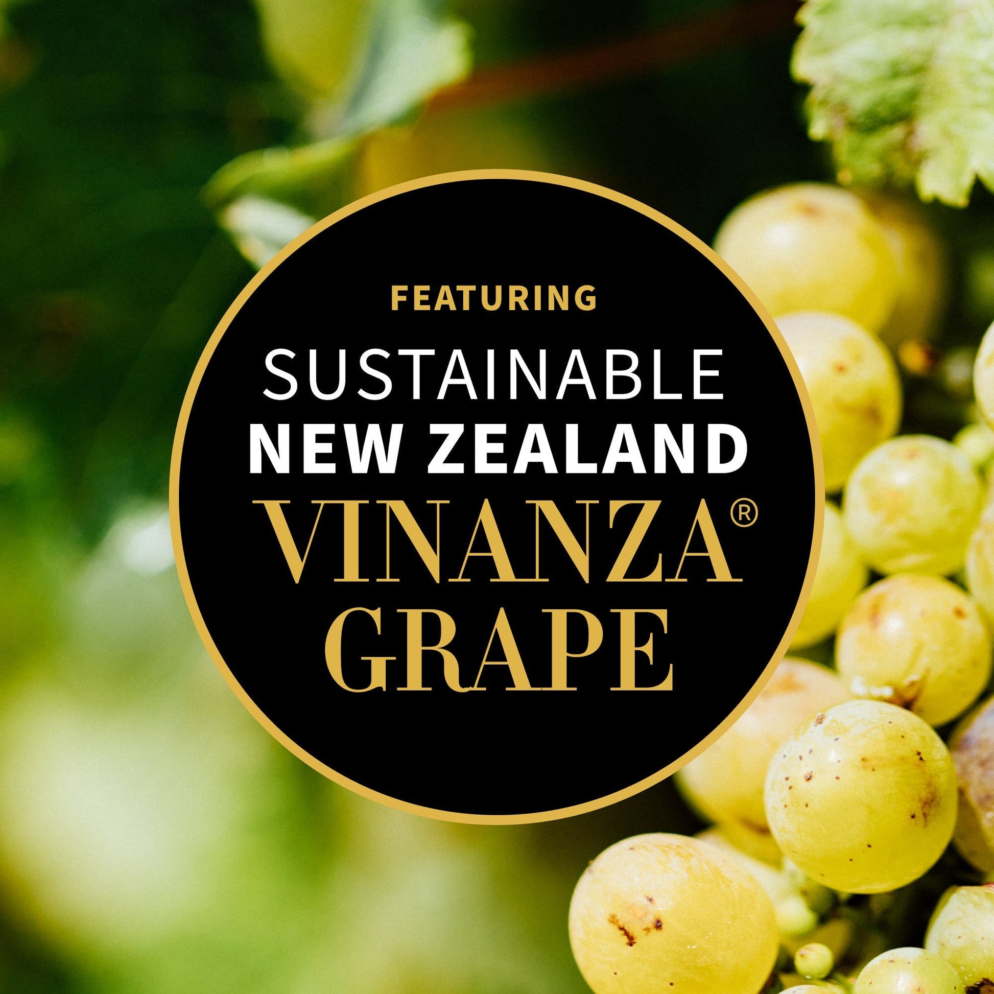 Grapeseed Butter Cleanser 75g - Antipodes New Zealand