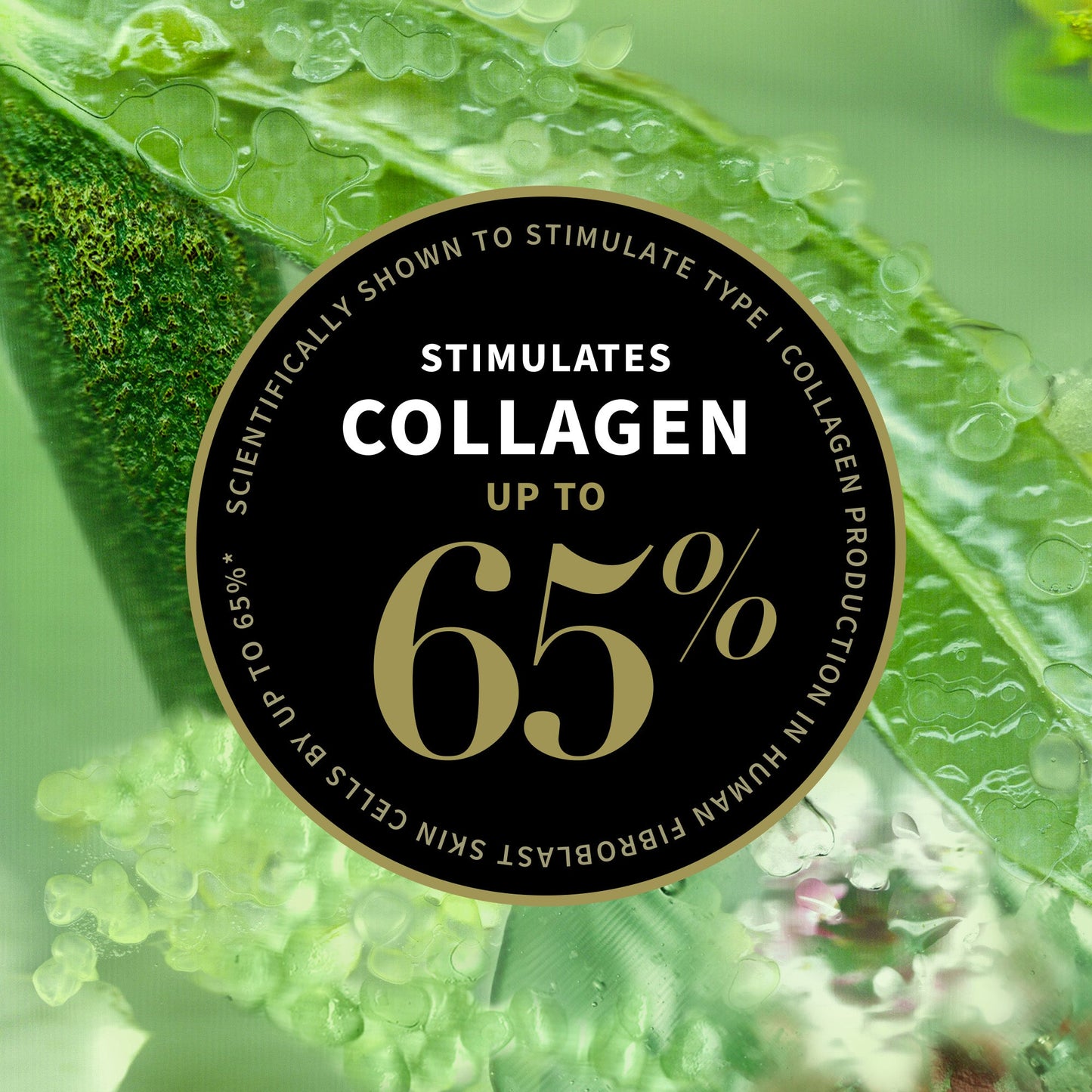 Lime Caviar Collagen-Rich Firming Cream 60ml - Antipodes New Zealand